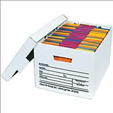 Deluxe File Storage Boxes
